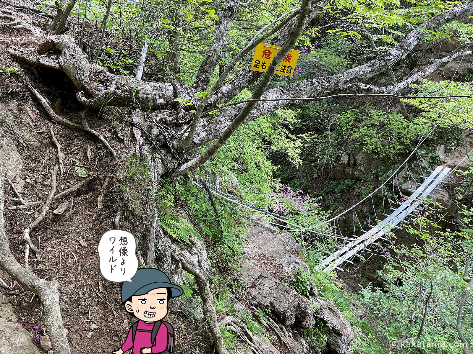 十二ヶ岳核心部の吊り橋の写真と登山者のイラスト3