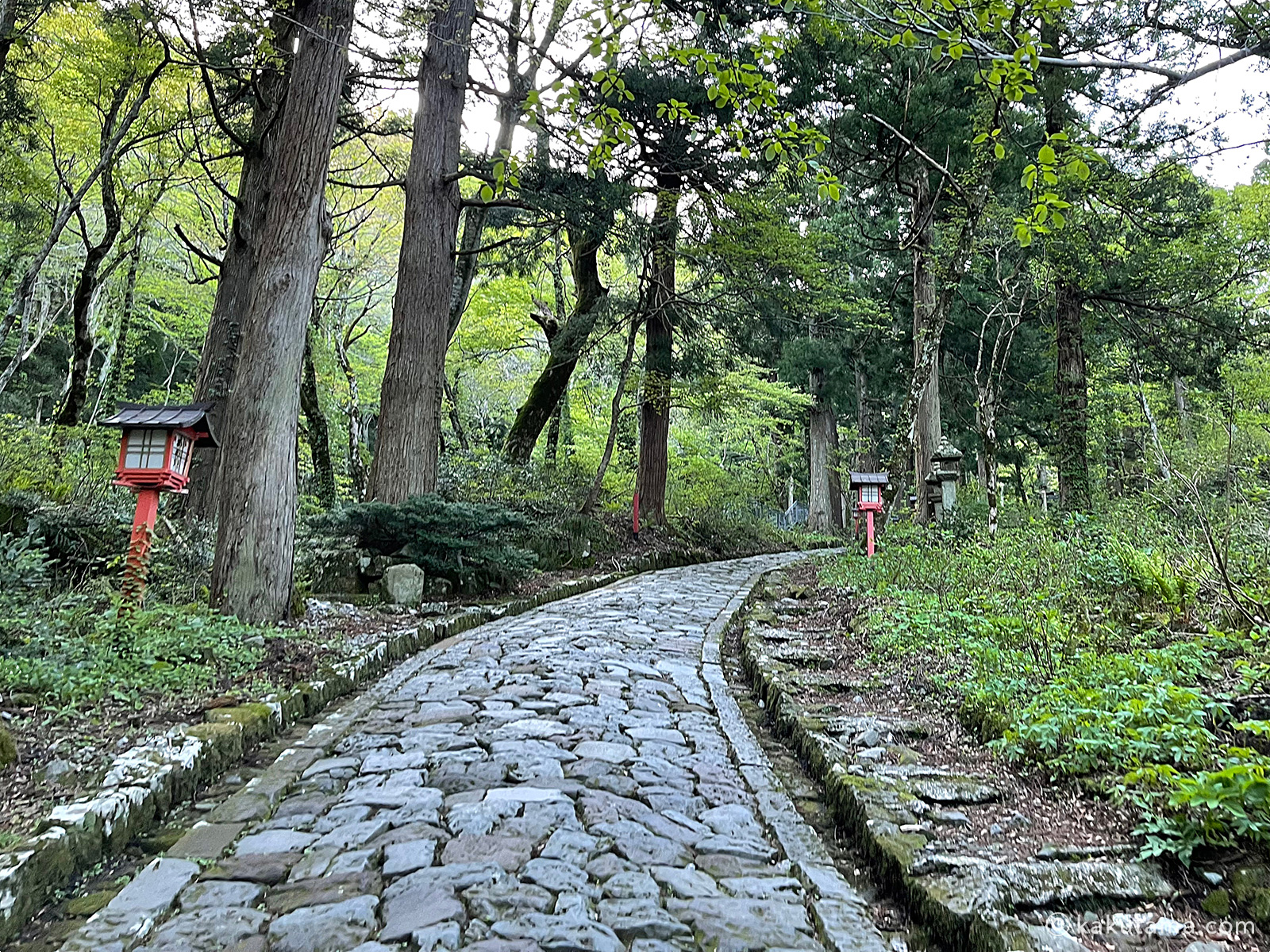 大神山神社への石畳の写真