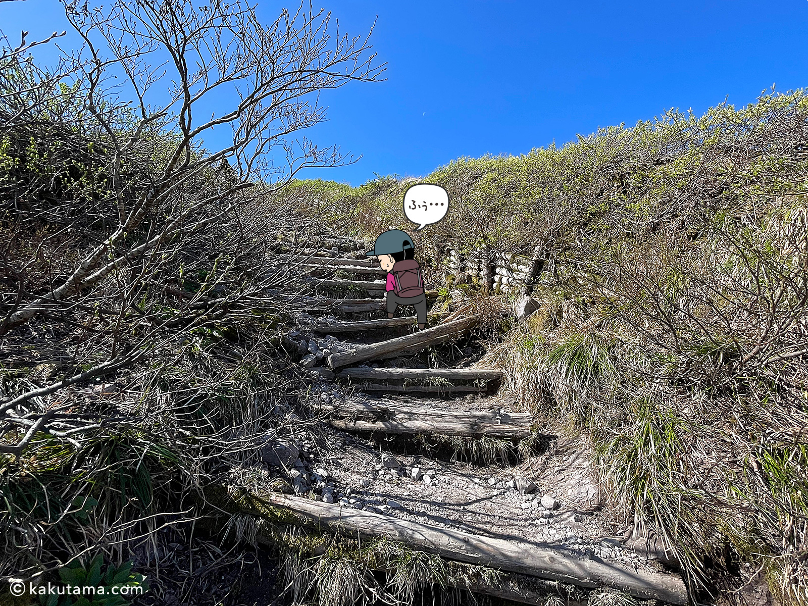 鳥取大山の夏山登山道を登る写真と登山者のイラスト