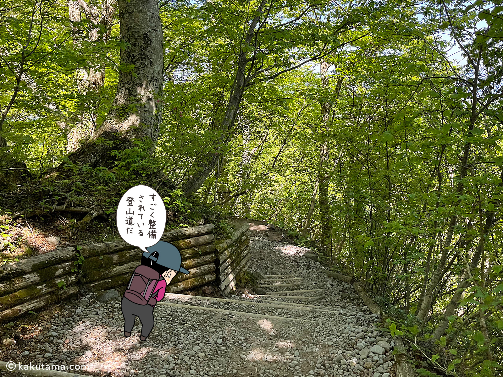 鳥取大山の夏山登山道の写真と登山者のイラスト