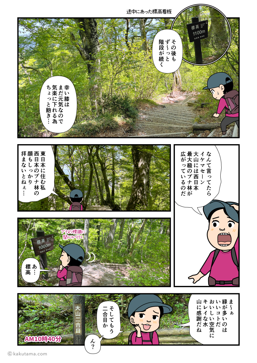 鳥取大山の夏山登山道を下山していく登山者の漫画