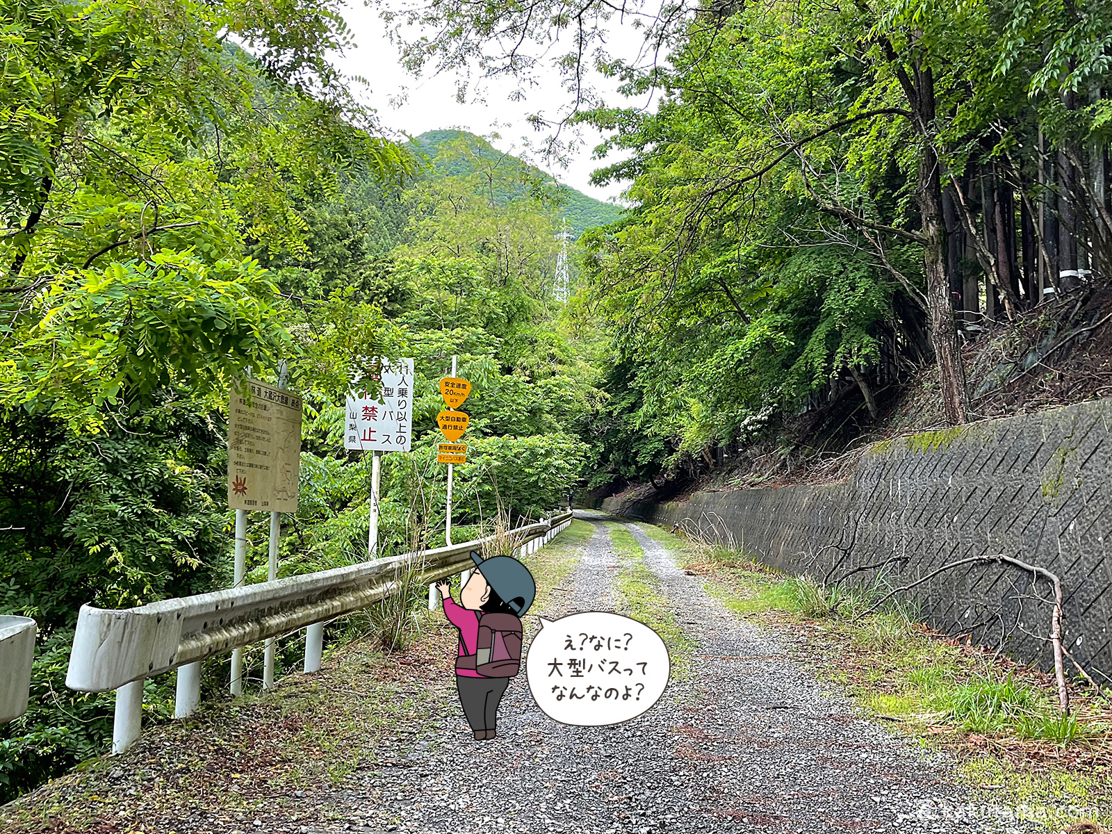 滝子山、スミ沢ルート方面へ向かって林道を進む写真と登山者のイラスト