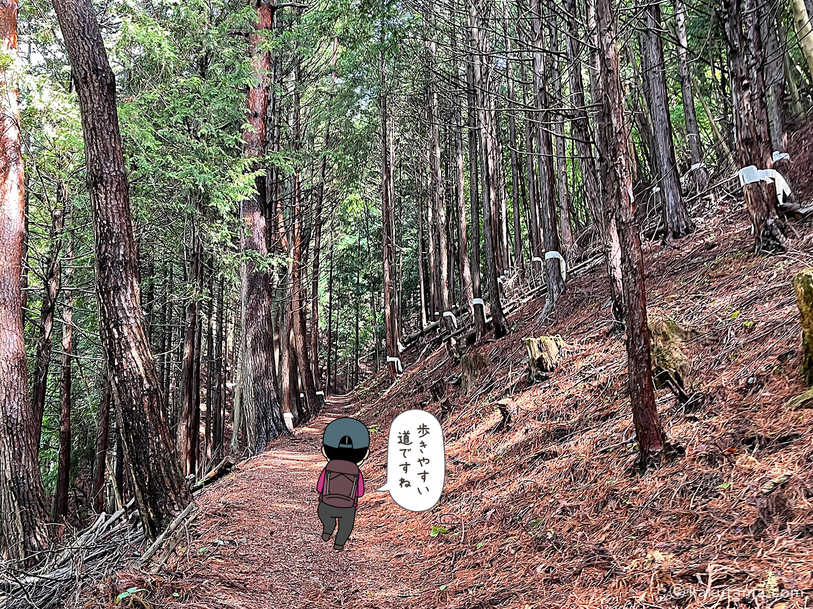 滝子山スミ沢ルートを歩く写真と登山者のイラスト