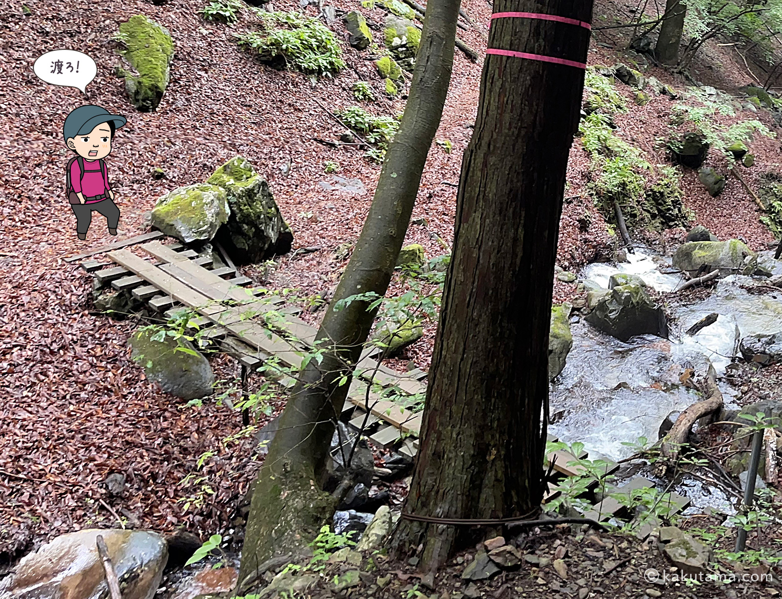 滝子山三丈の滝手前の橋の写真と登山者のイラスト