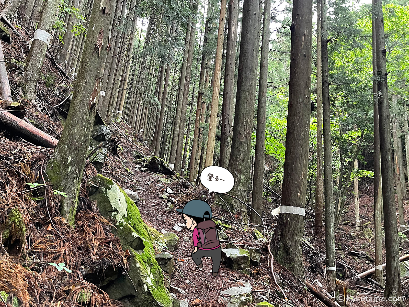 滝子山スミ沢ルートを歩く登山者の写真と登山者のイラスト