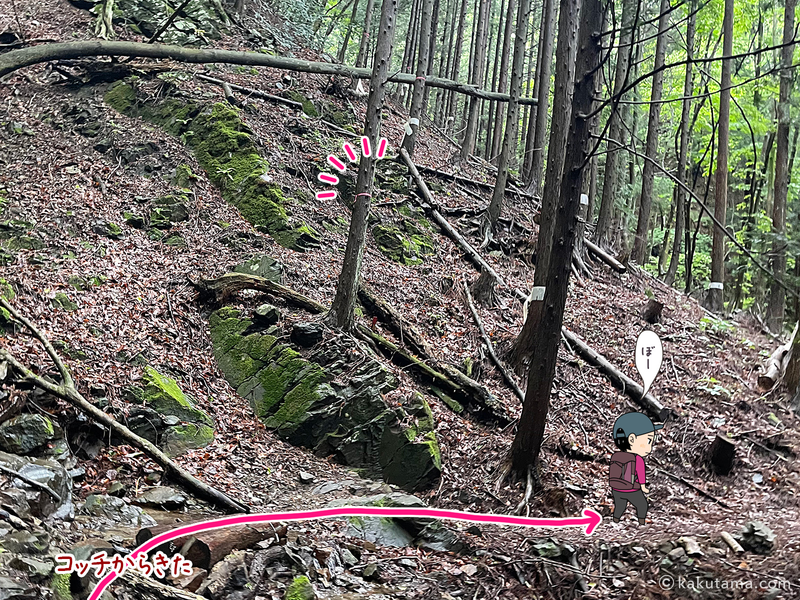 滝子山スミ沢ルートをぼーっと歩いていて道迷いしそうになる写真と登山者のイラスト