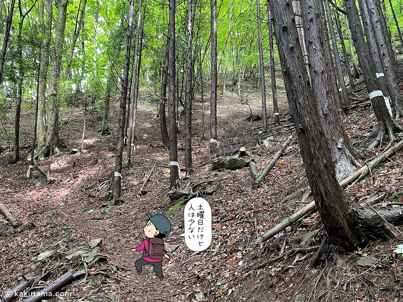 滝子山スミ沢ルートはそれなりにキツイ登山道だと思う写真と登山者のイラスト