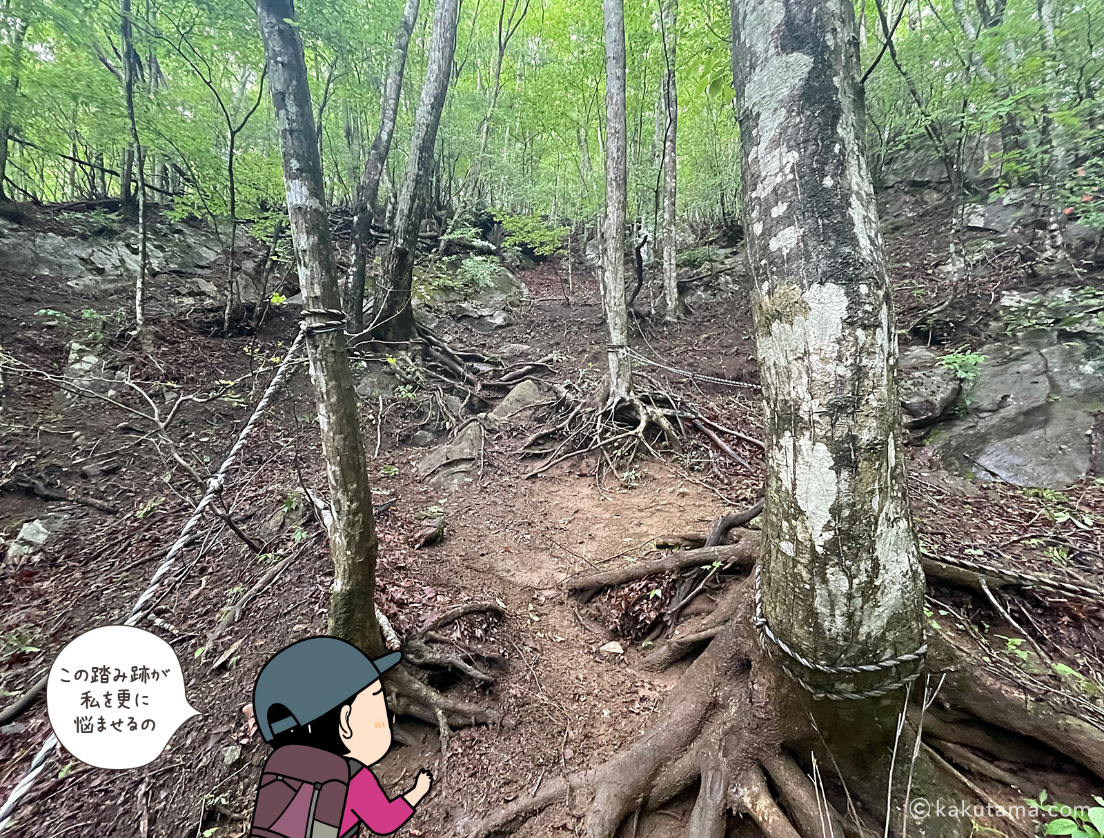 滝子山スミ沢ルートの難所ルートの樹林帯の写真と登山者のイラスト