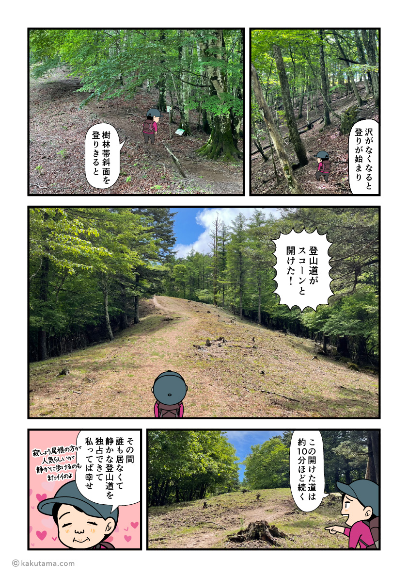滝子山スミ沢ルートの山頂近くの開けたゾーンを歩く登山者の漫画