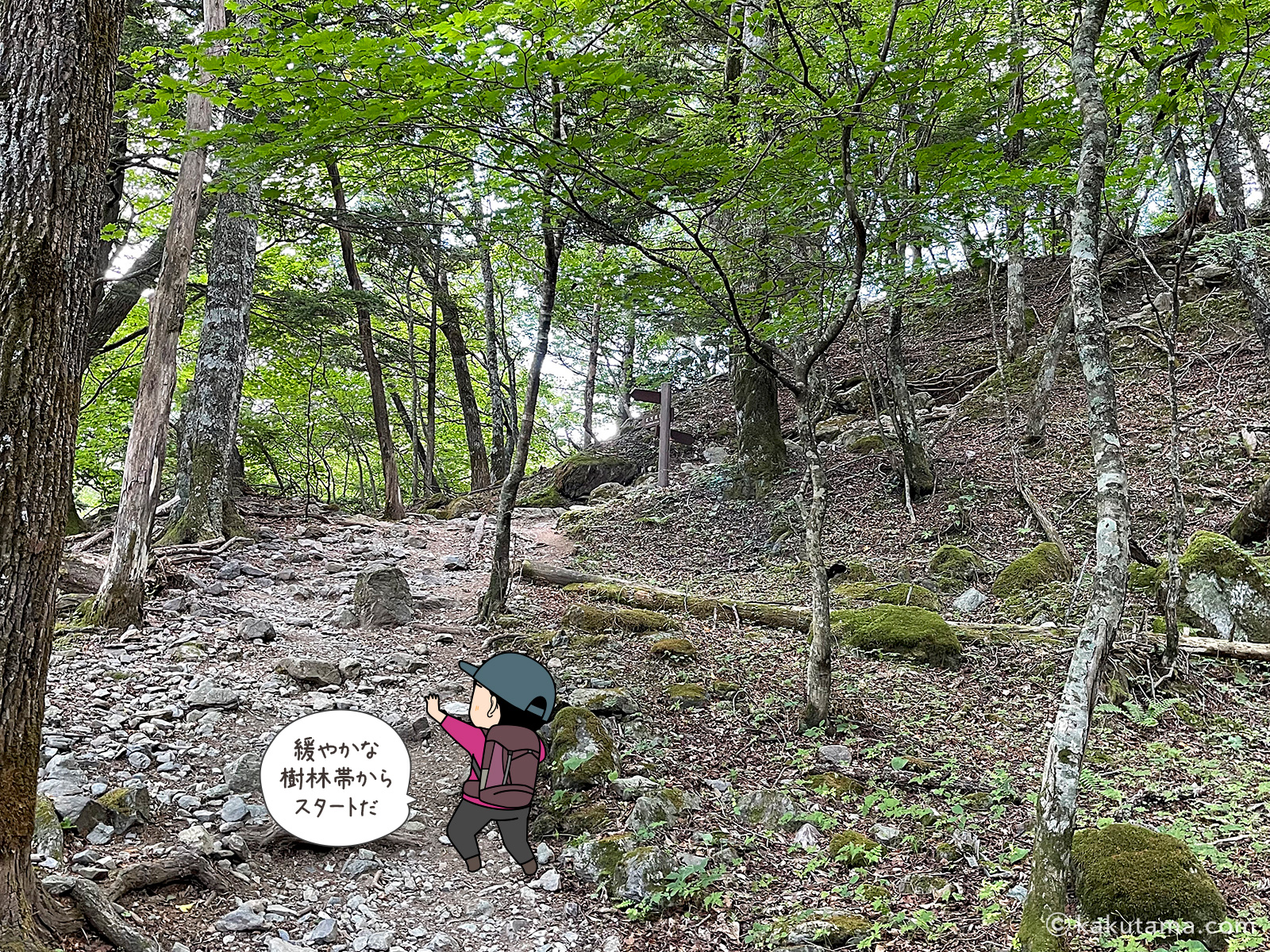 広河原から北岳への登山道へ入った写真と登山者のイラスト