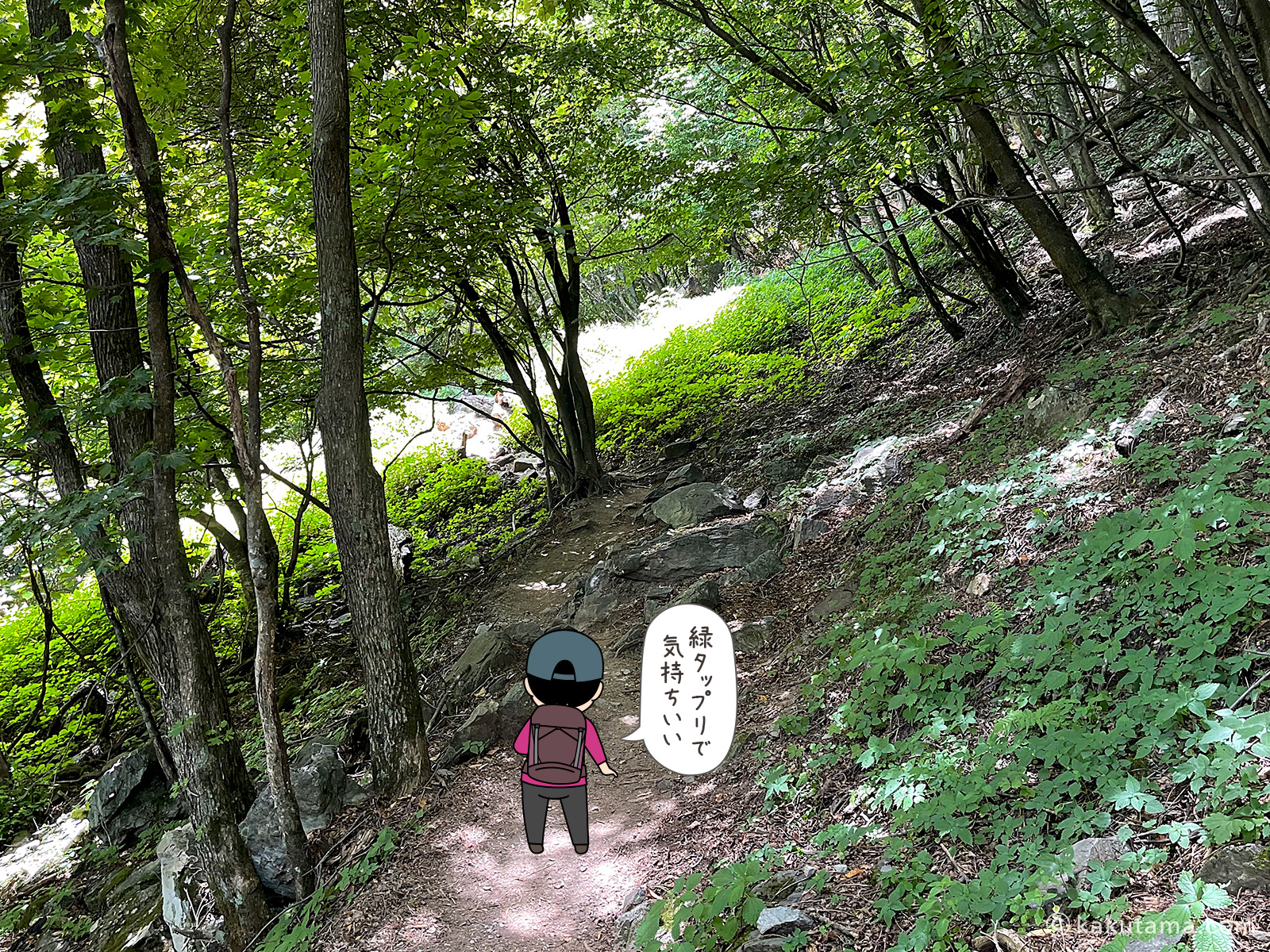 広河原から北岳への登山道は緑が豊富な写真と登山者のイラスト