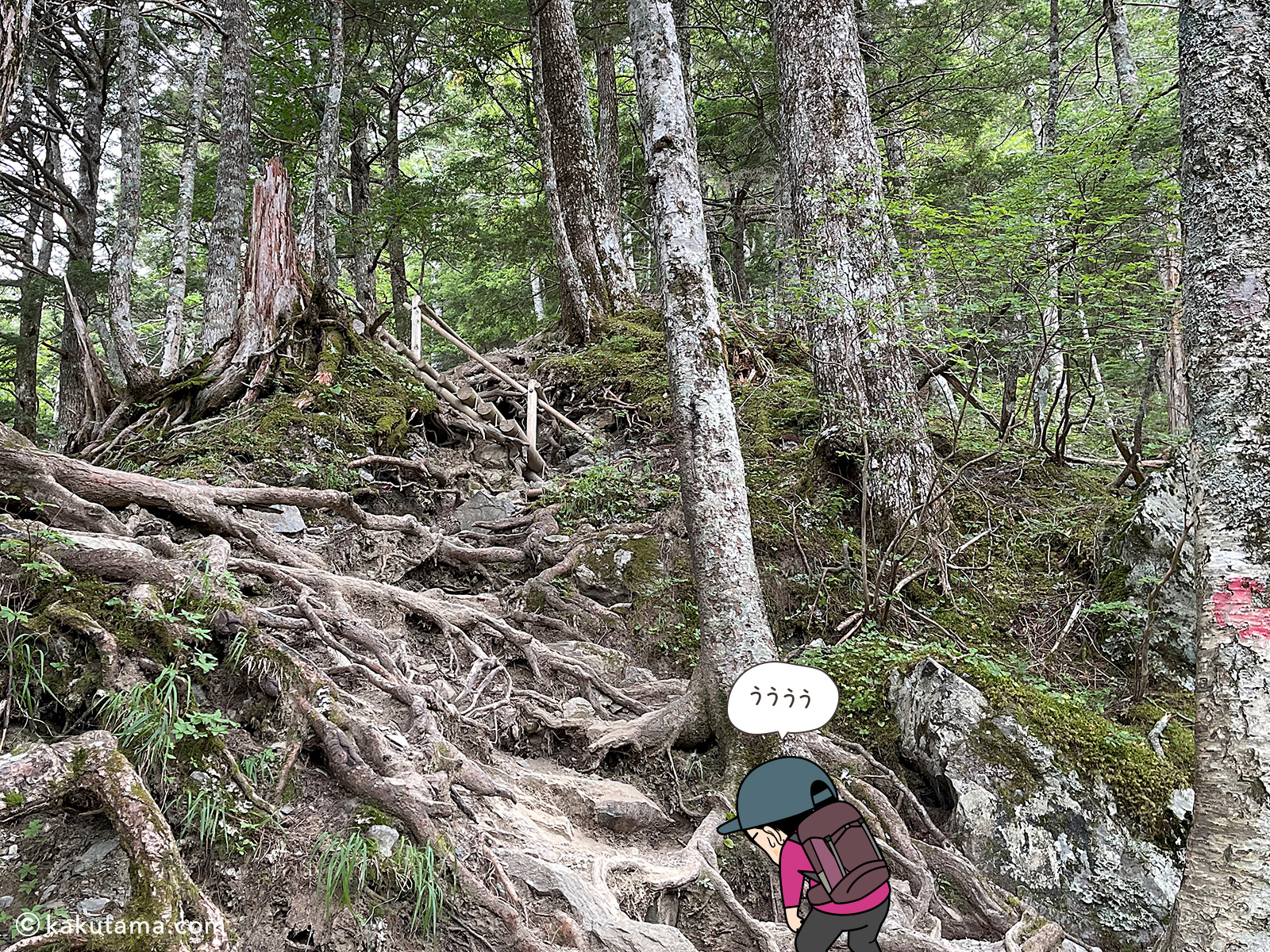 白根御池小屋を目指して登る写真と登山者のイラスト