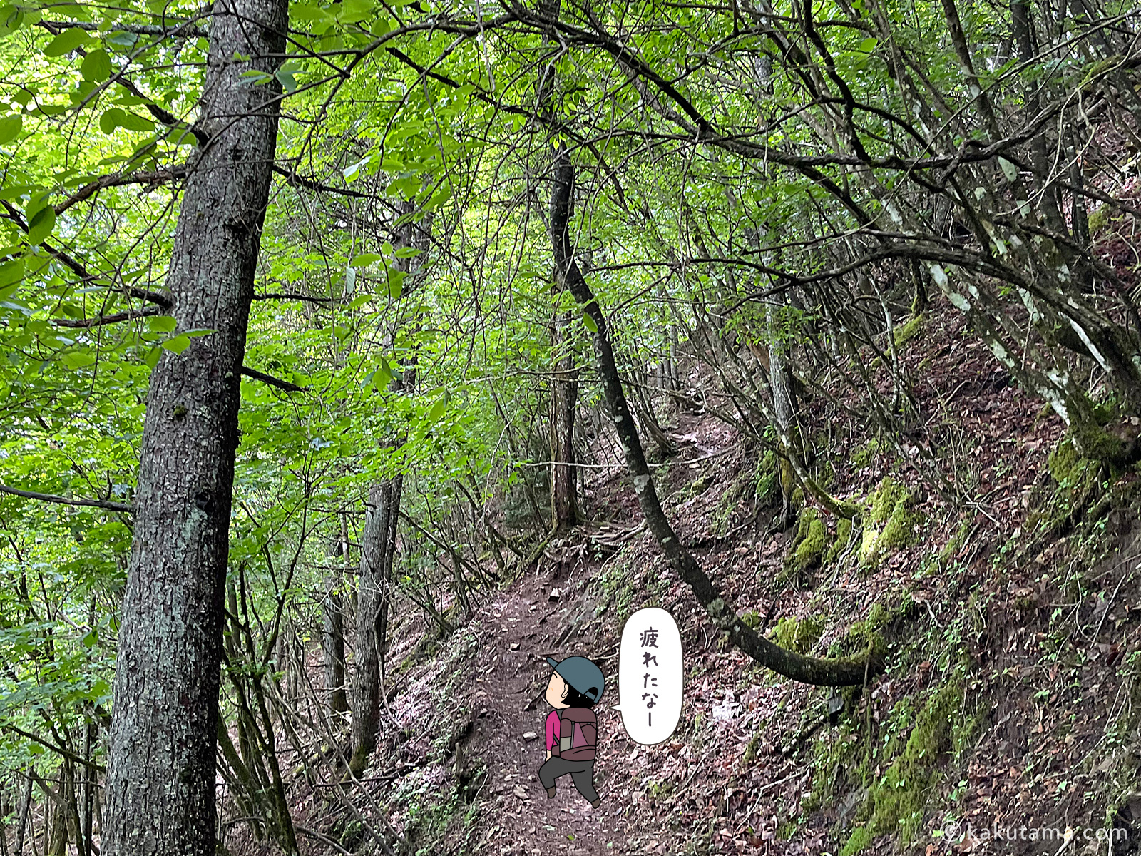 滝子山山頂へ向けてひたすら登る写真と登山者のイラスト