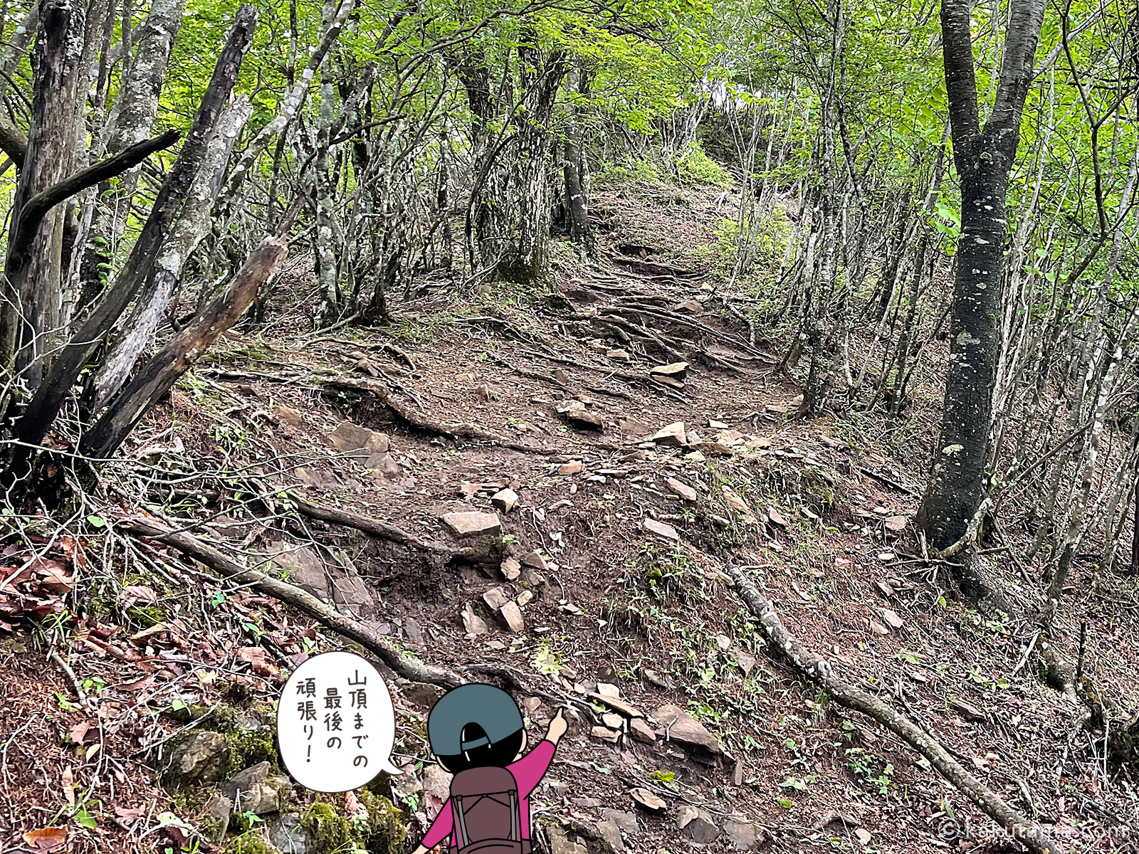 滝子山山頂への最後の登り尾根の写真と登山者のイラスト