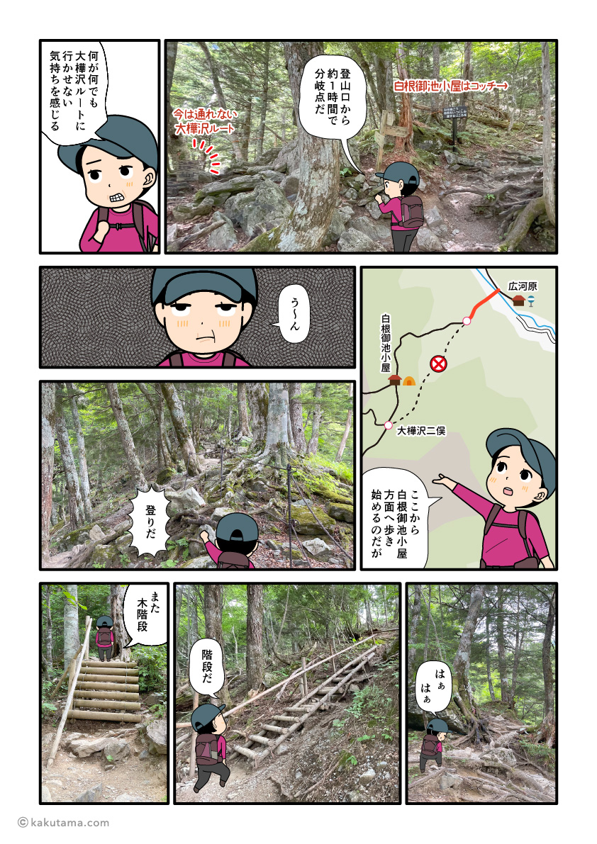 通行止めの大樺沢ルートと白根御池小屋ルートの分岐点に来た登山者の漫画