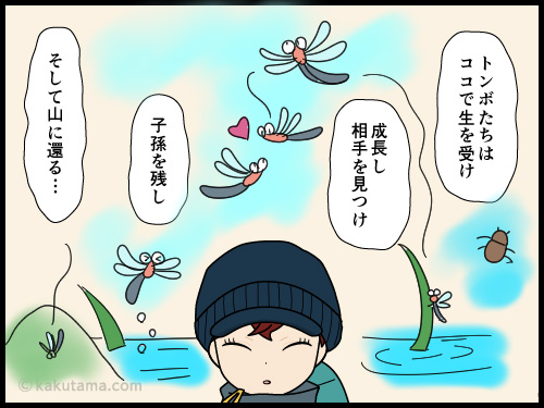 八方池付近で大量のトンボを見て、自分より人生を生きていると思う単独登山者の4コマ漫画