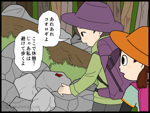 山に来ると虫は怖くなくなるが、決して踏みたくない登山者の4コマ漫画