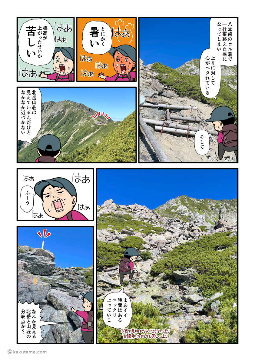 真夏日なので、北岳・八本歯のコル付近でも暑いと思いながら上る登山者の漫画