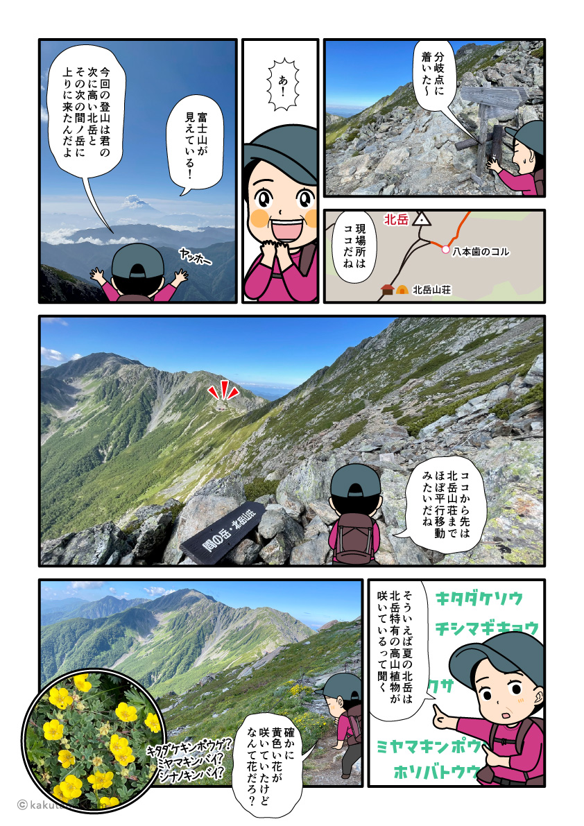 北岳山荘と北岳の分岐点に着き、北岳特有の高山植物を見る登山者の漫画