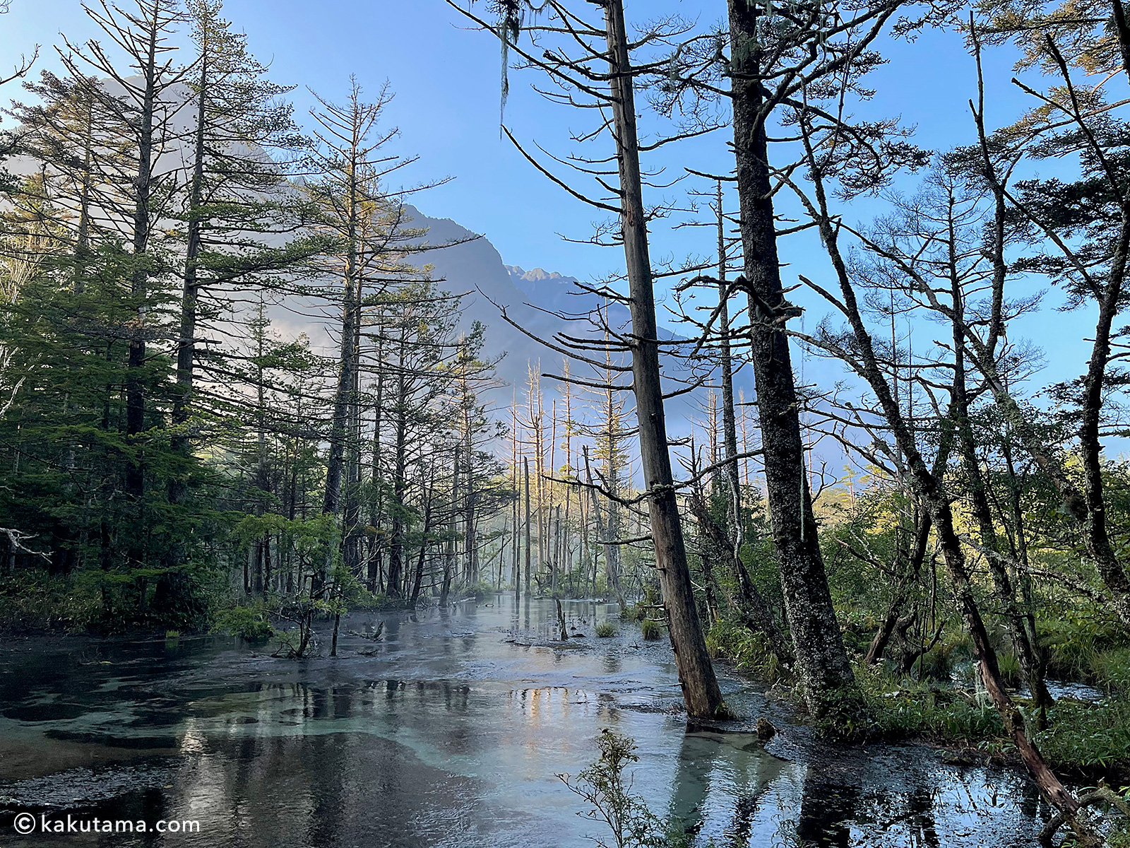 上高地、左俣ルートから見た湿原と穂高の稜線を見る登山者のイラスト