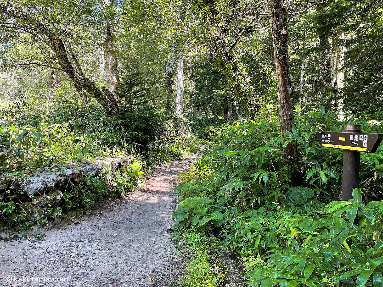 槍沢登山道の写真