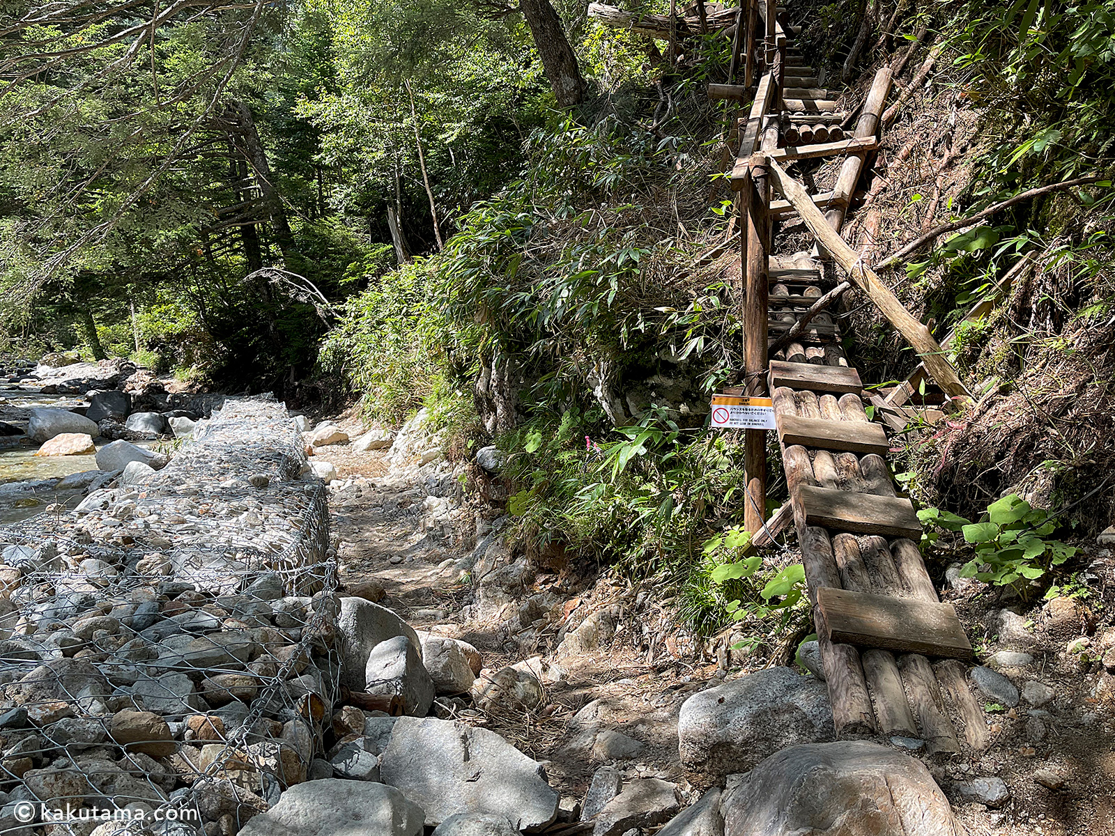 おそらく大雨で倒壊した登山道の写真