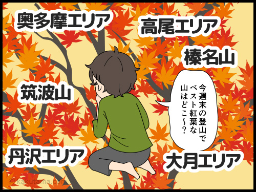 紅葉の山を目的に登る山を見極めてみたけれど、上ってみたら落葉していたことにガックリする登山者の漫画とイラスト