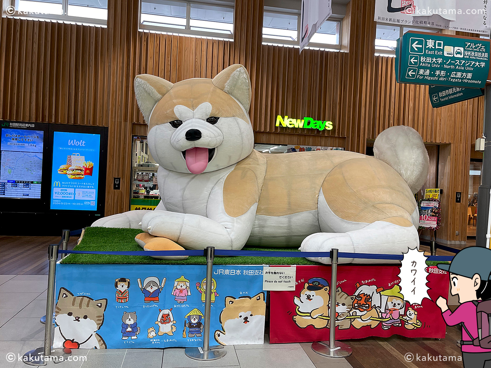 秋田駅の秋田犬のぬいぐるみの写真とイラスト