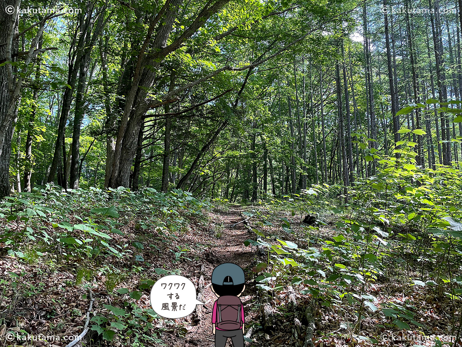 すずらん昆虫館前バス停から牛奥ノ雁ヶ腹摺山を目指して登山を開始する写真と登山者のイラスト