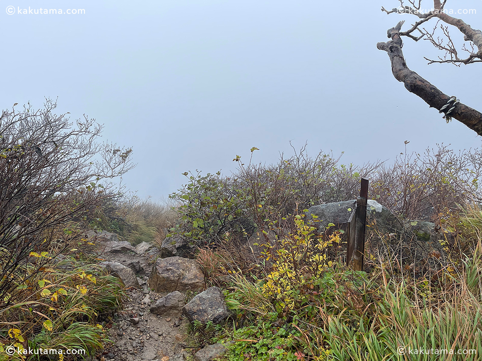 鳥海山から岩木山へ向かって引き返す道の写真