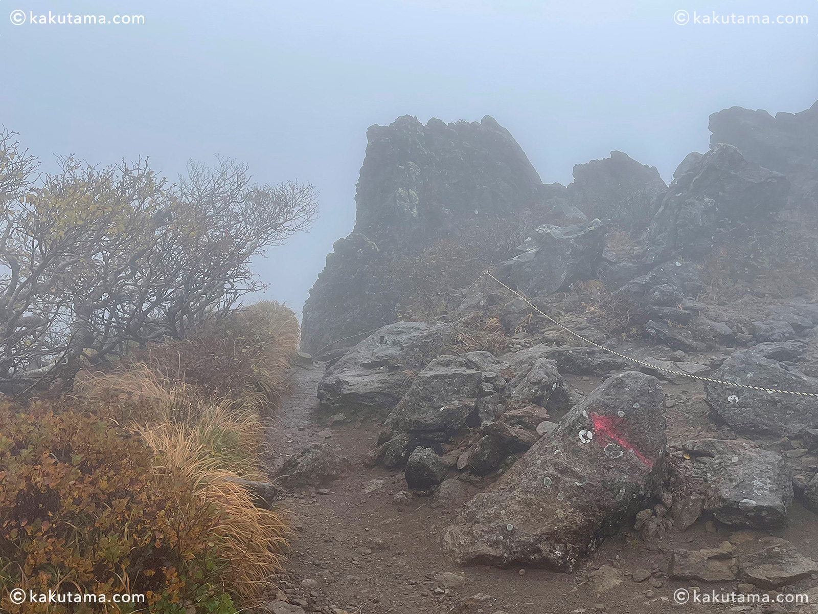 岩木山の登山道の写真