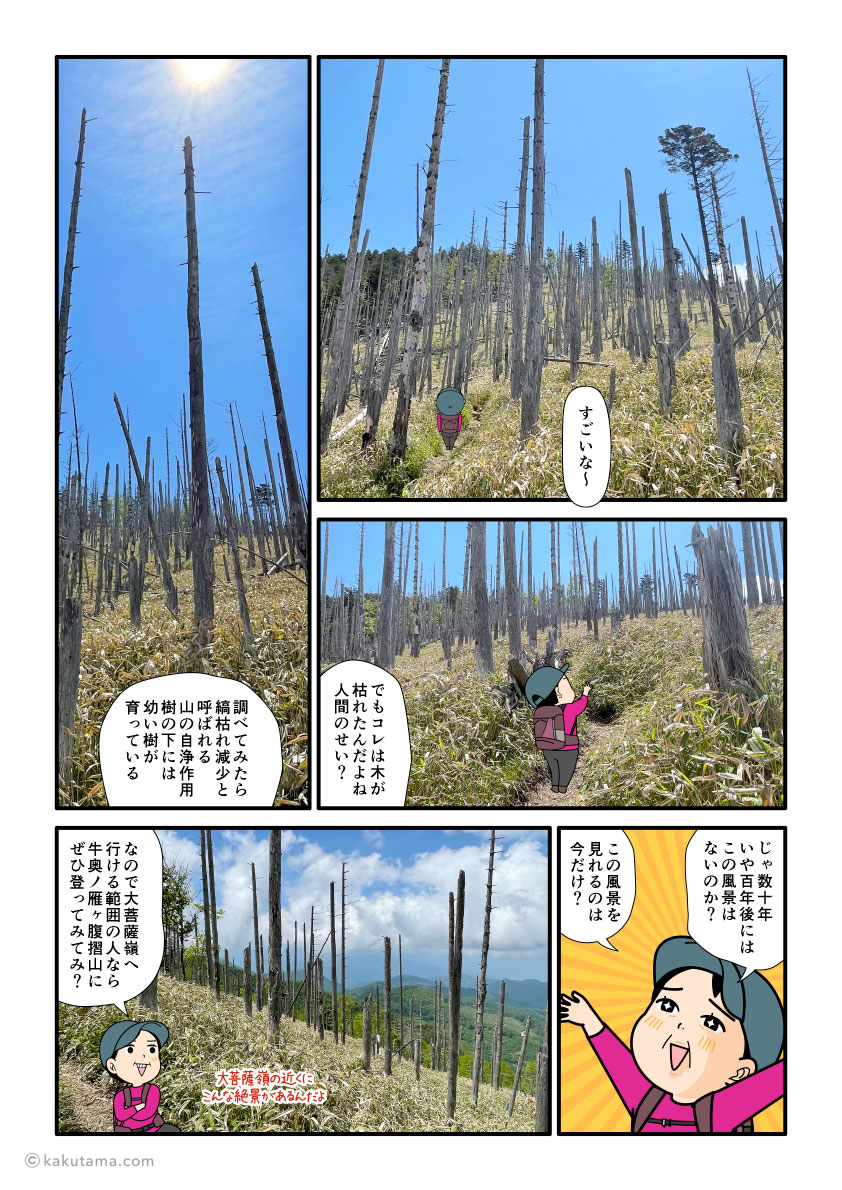 牛奥ノ雁ヶ腹摺山の針の山のような枯れ木ゾーンを登る登山者の漫画とイラスト