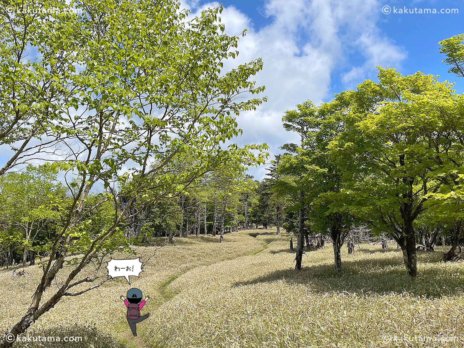 牛奥ノ雁ヶ腹摺山から小金沢山へ向かって歩く写真と登山者のイラスト