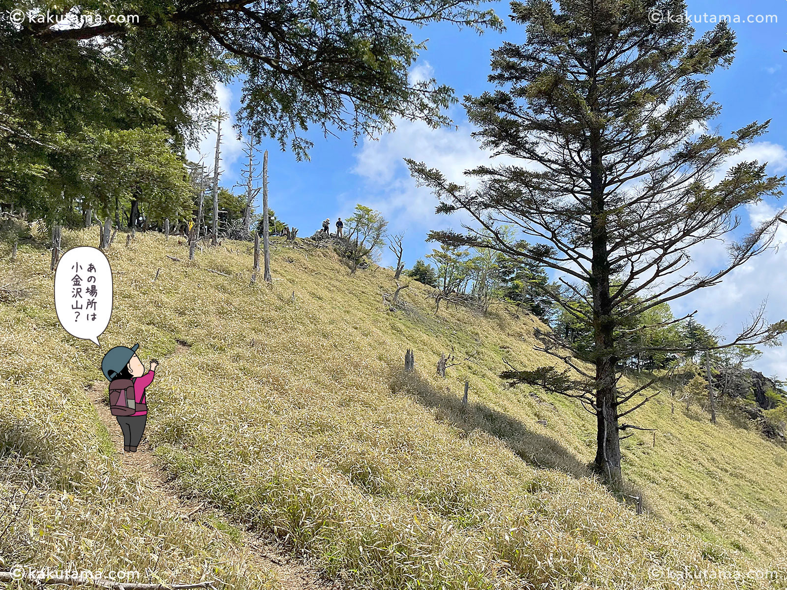 小金沢山が見えてきた写真と登山者のイラスト