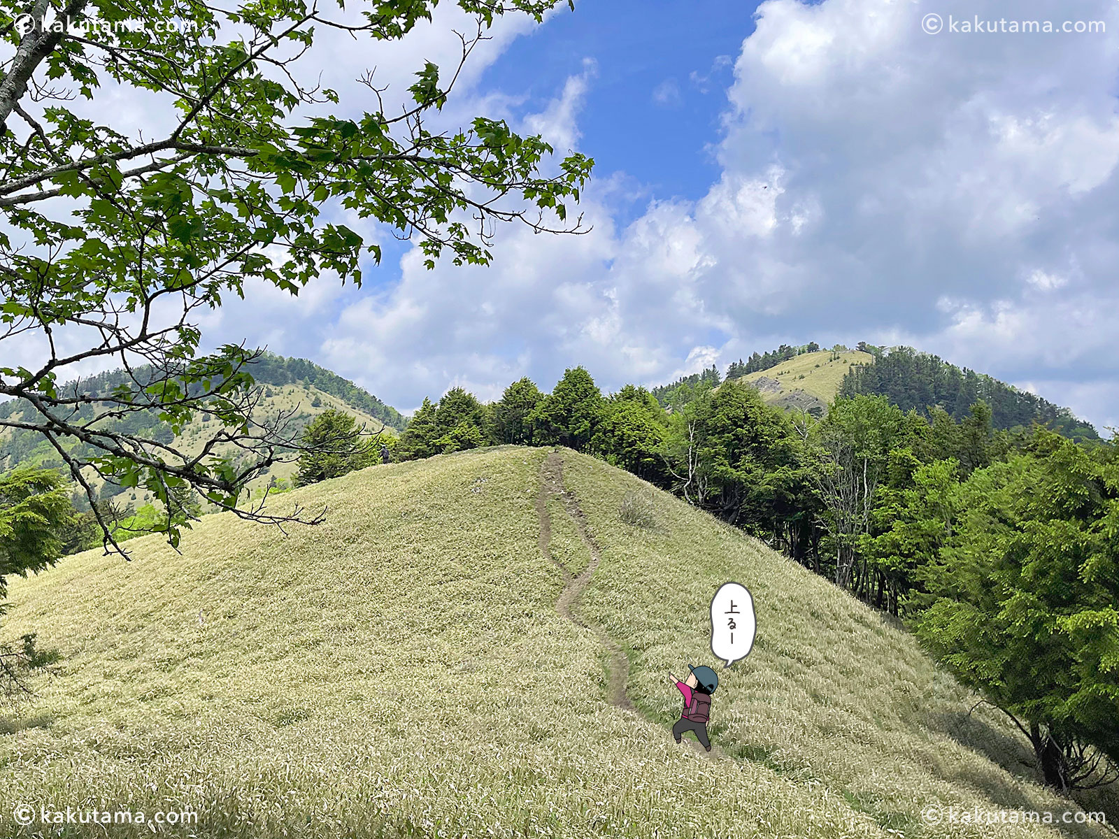 牛奥ノ雁ヶ腹摺山から小金沢山を経て大菩薩峠への縦走路の写真と登山者のイラスト