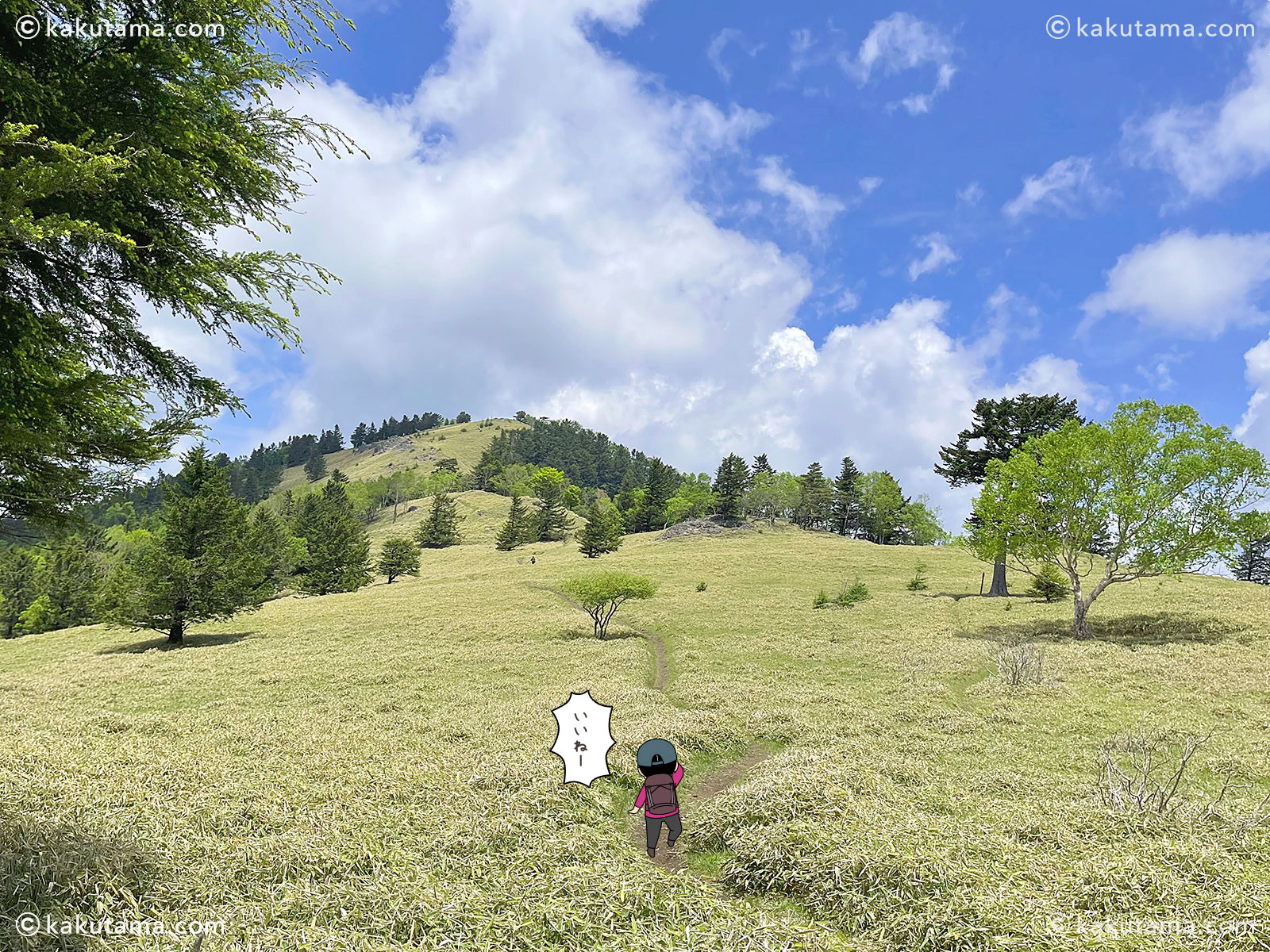 牛奥ノ雁ヶ腹摺山から小金沢山を経て大菩薩峠への縦走路の写真と登山者のイラスト