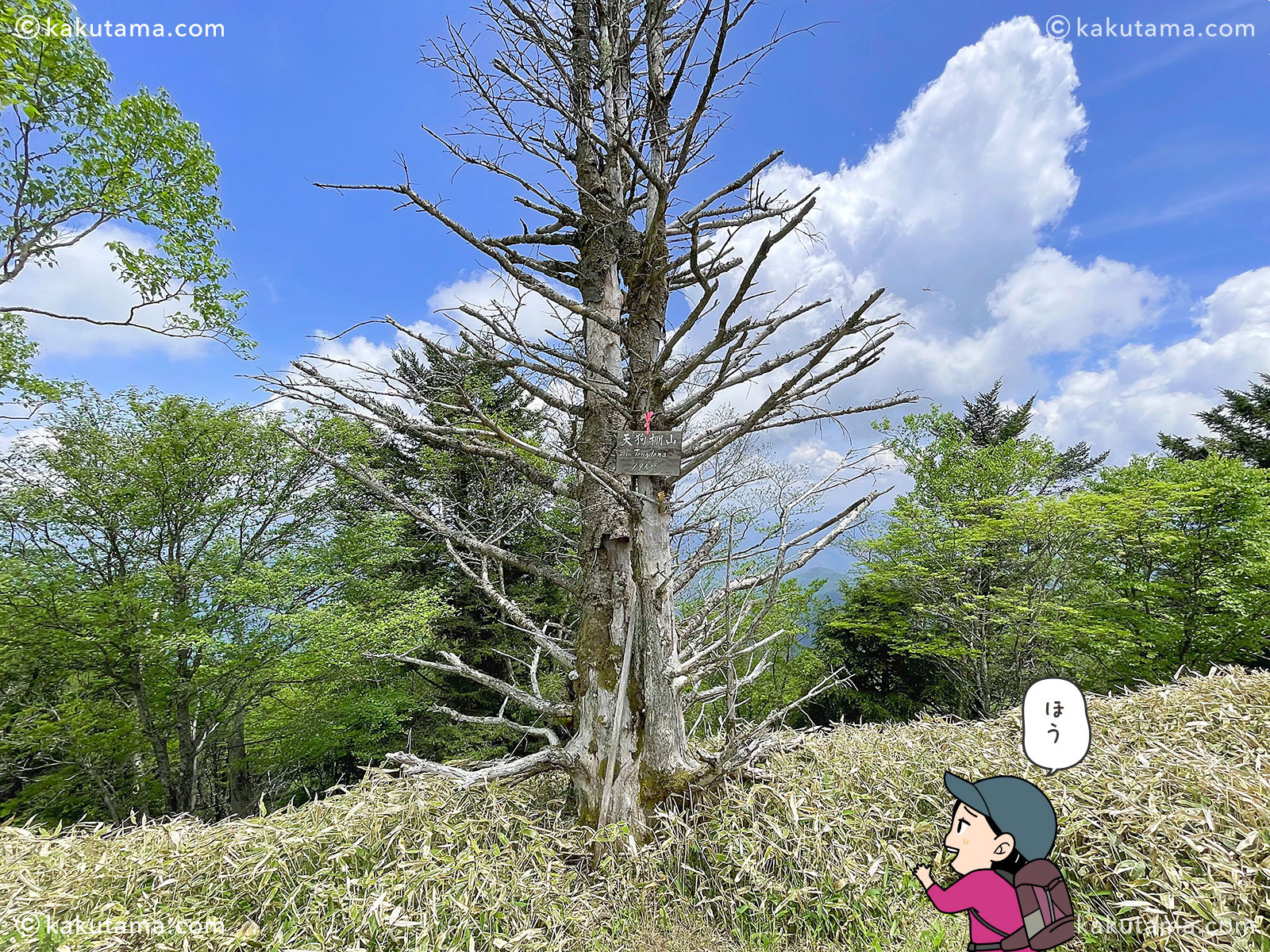 牛奥ノ雁ヶ腹摺山から小金沢山を経て大菩薩峠への縦走路にある天狗棚山と登山者のイラスト