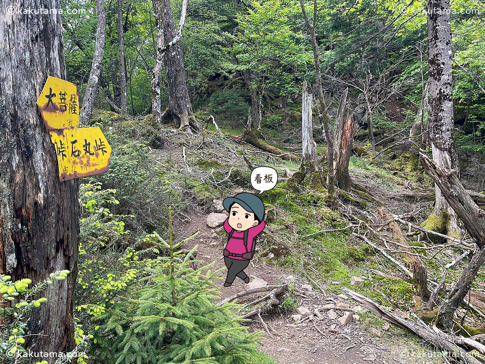 大菩薩峠手前の登山道の写真と登山者のイラスト