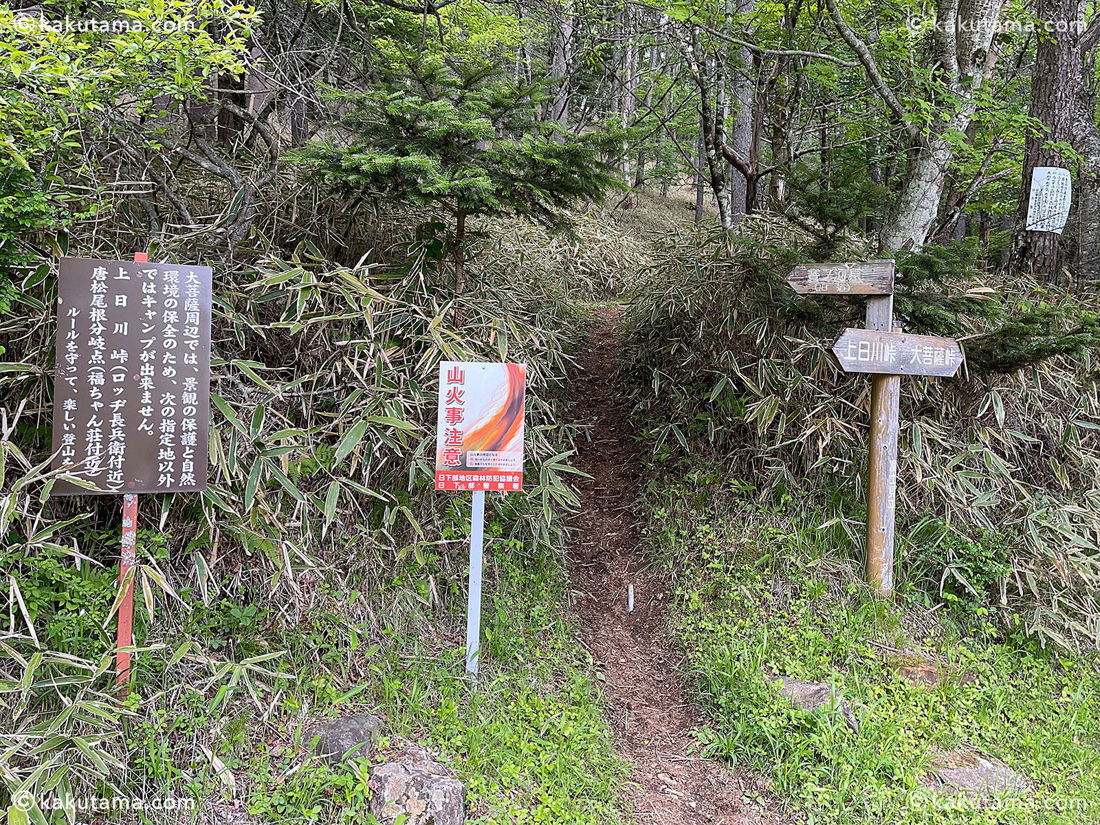 大菩薩嶺、富士見新道の道標の写真