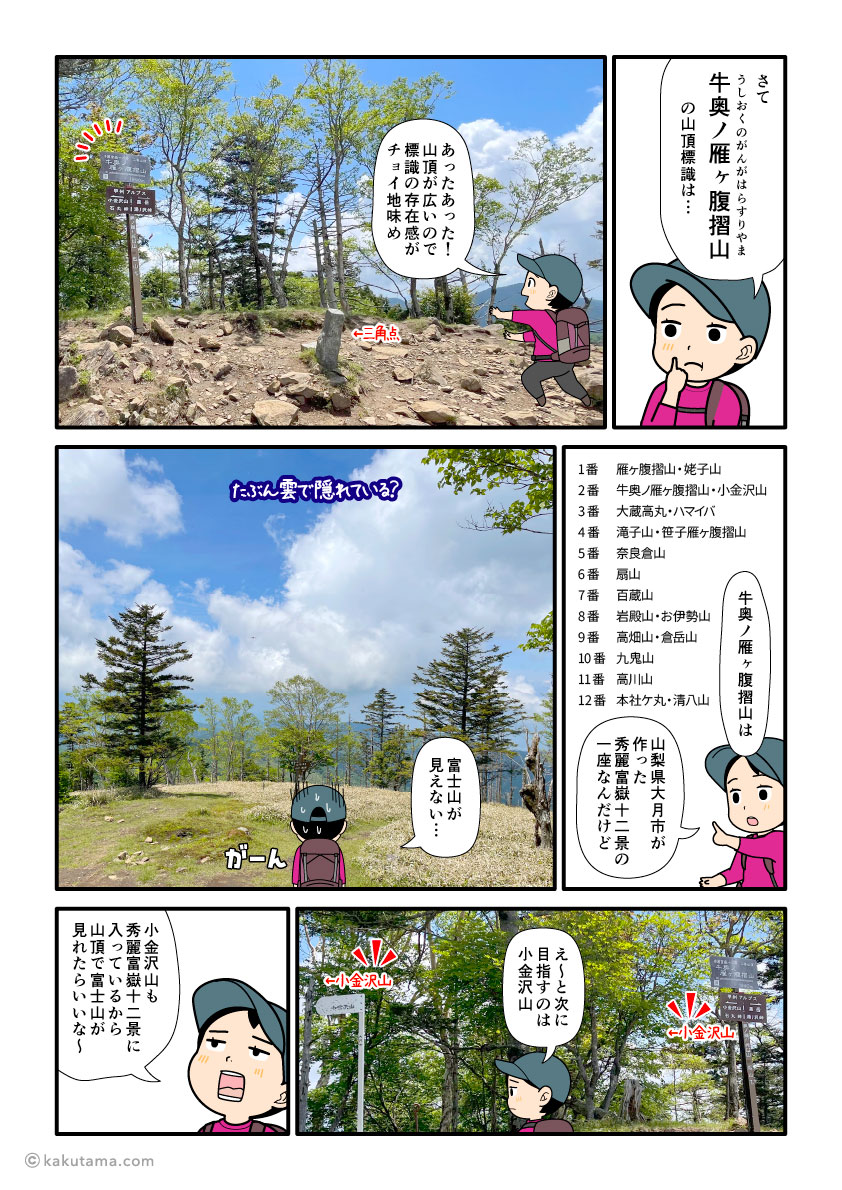 牛奥ノ雁ヶ腹摺山の山頂から富士山を眺めようとした登山者の漫画とイラスト
