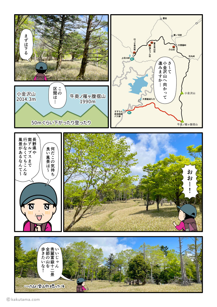 牛奥ノ雁ヶ腹摺山から小金沢山へ向かって歩き出した登山者の漫画とイラスト