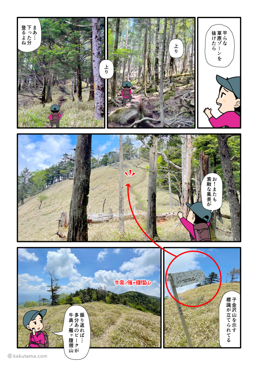 牛奥ノ雁ヶ腹摺山から小金沢山へ向かって歩き出した登山者の漫画とイラスト