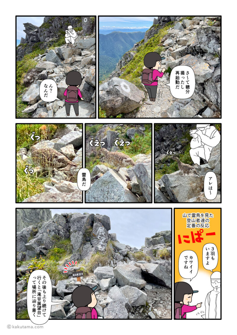 大キレットで雷鳥と遭遇してほっこりする登山者の漫画とイラスト