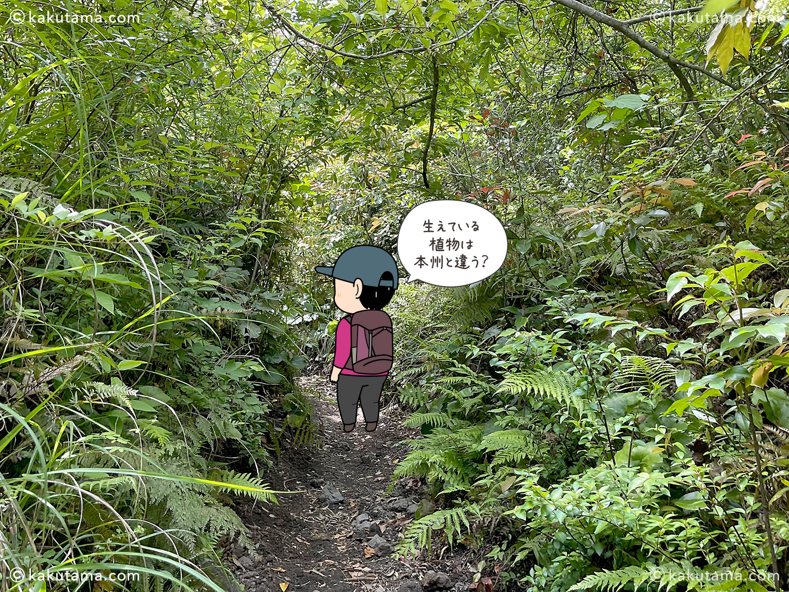 日本百名山開聞岳の植物を見る写真と登山者のイラスト