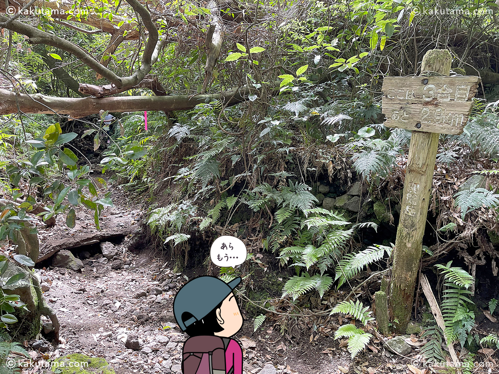 日本百名山開聞岳の3合目の写真と登山者のイラスト