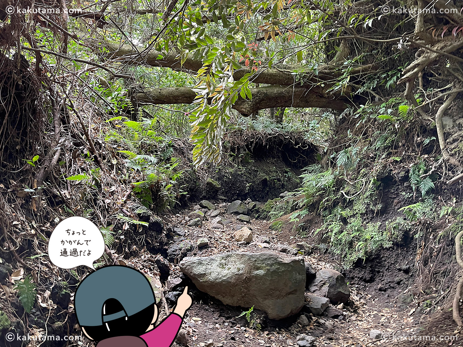 日本百名山開聞岳の登山道の写真と登山者のイラスト