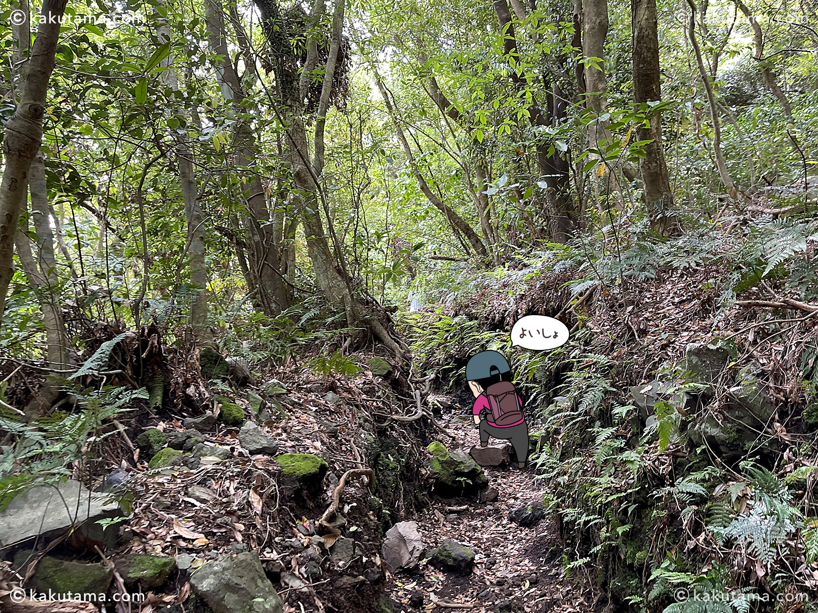 日本百名山開聞岳の登山道の写真と登山者のイラスト