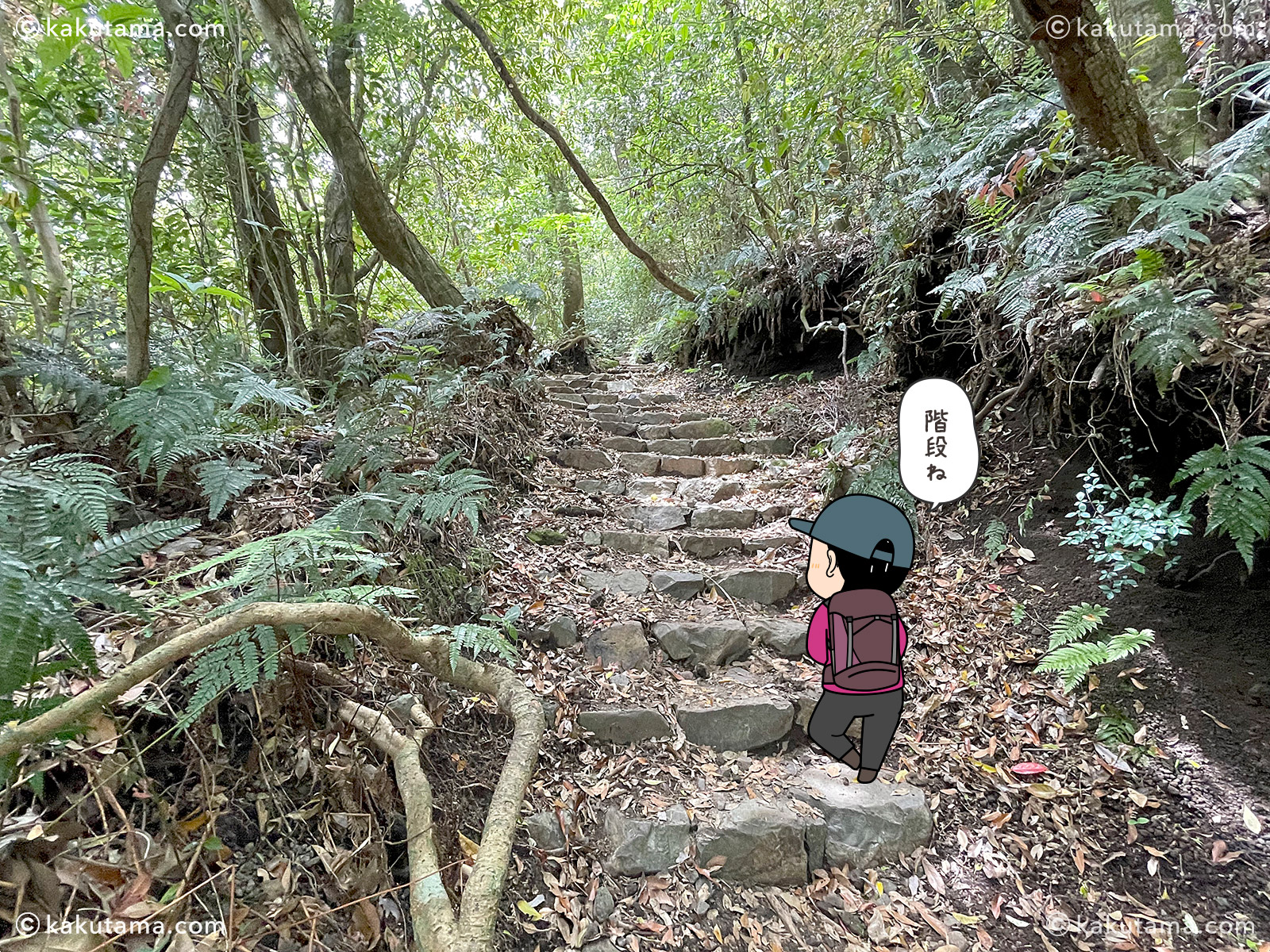 開聞岳登山道の写真と登山者のイラスト