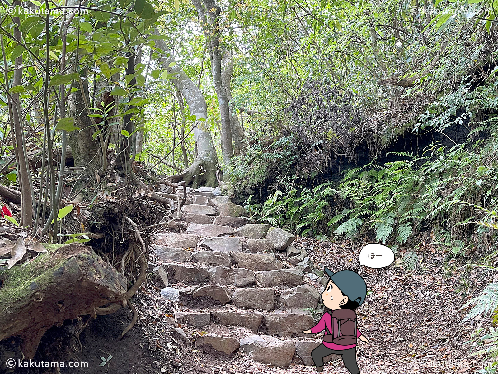 開聞岳登山道の写真と登山者のイラスト
