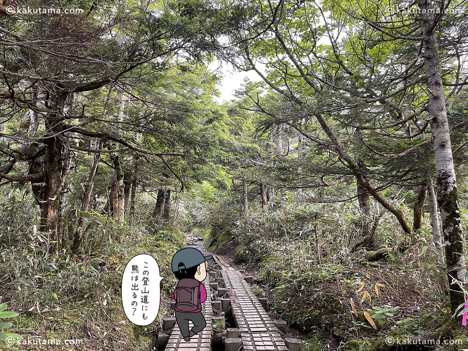 日本百名山早池峰山の小田越登山口の木道写真と登山者のイラスト
